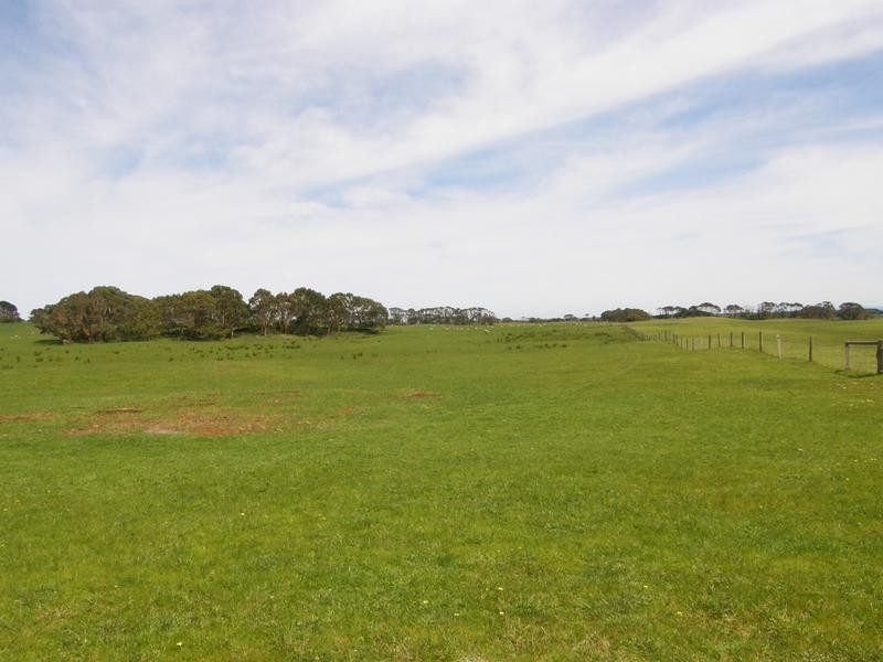 77 GREVILLIA Street, Walkerville VIC 3956