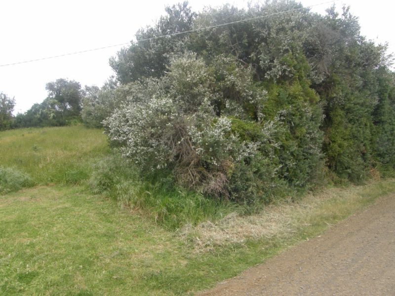12 SATURN PARADE, Venus Bay VIC 3956