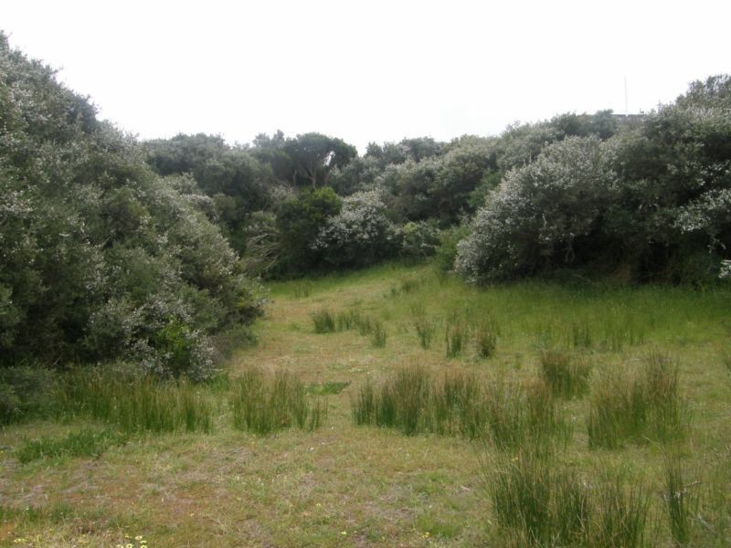 83 JUPITER BOULEVARD, Venus Bay VIC 3956