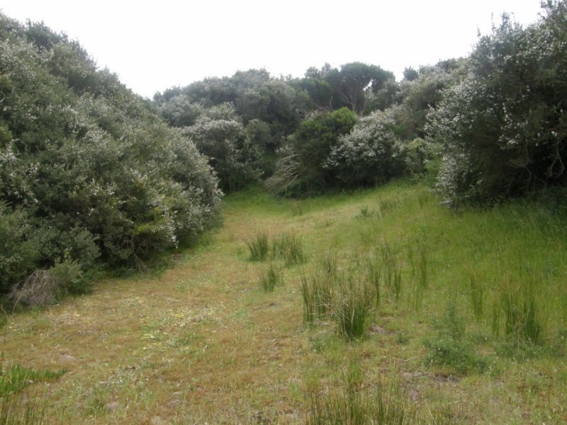 83 JUPITER BOULEVARD, Venus Bay VIC 3956