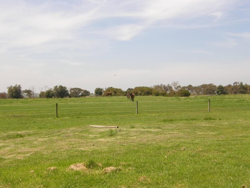 1150 WALKERVILLE ROAD, Tarwin Lower VIC 3956