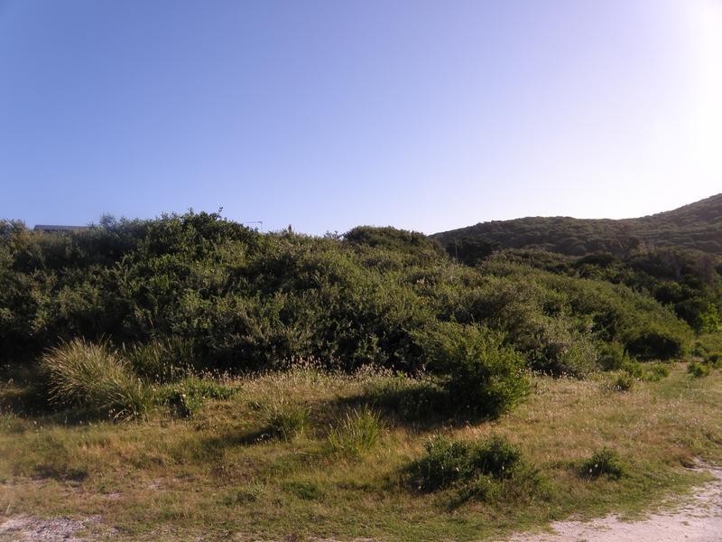 39 MCINDOE AVENUE, Venus Bay VIC 3956