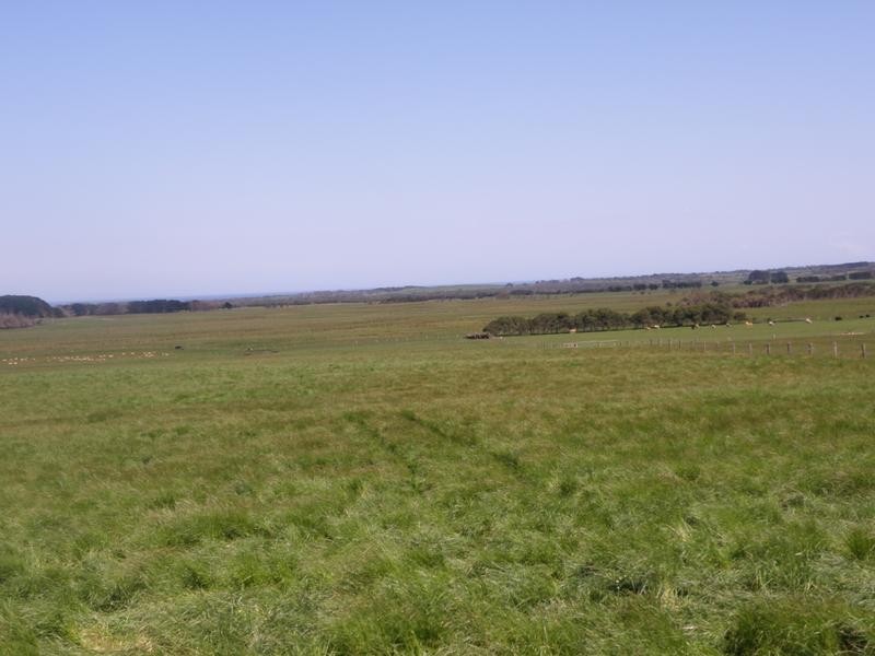 650 Fish Creek Road, Walkerville VIC 3956