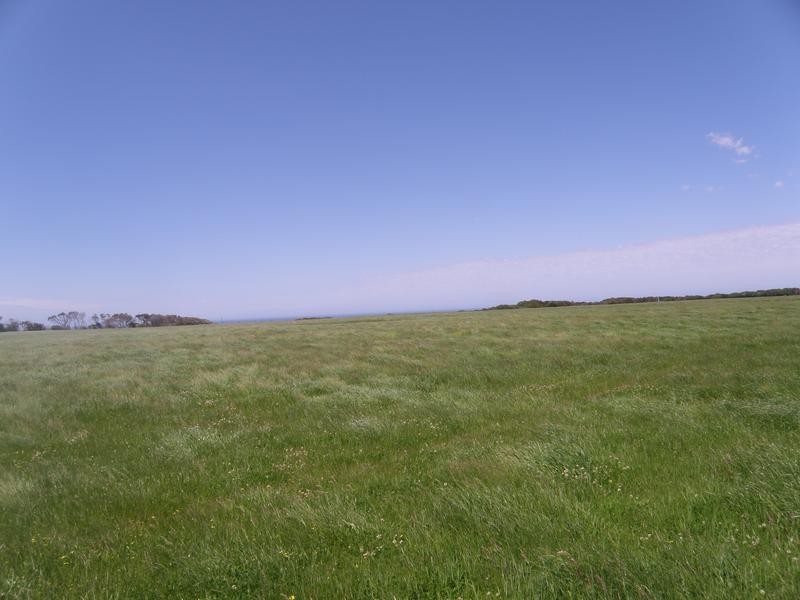 650 Fish Creek Road, Walkerville VIC 3956