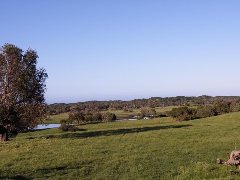 1160 Walkerville Road, Tarwin Lower VIC 3956