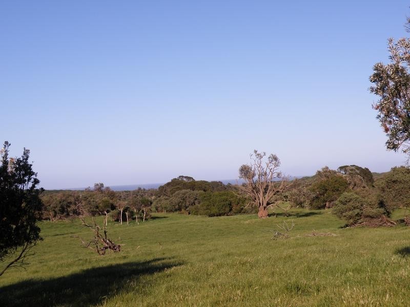 1160 Walkerville Road, Tarwin Lower VIC 3956