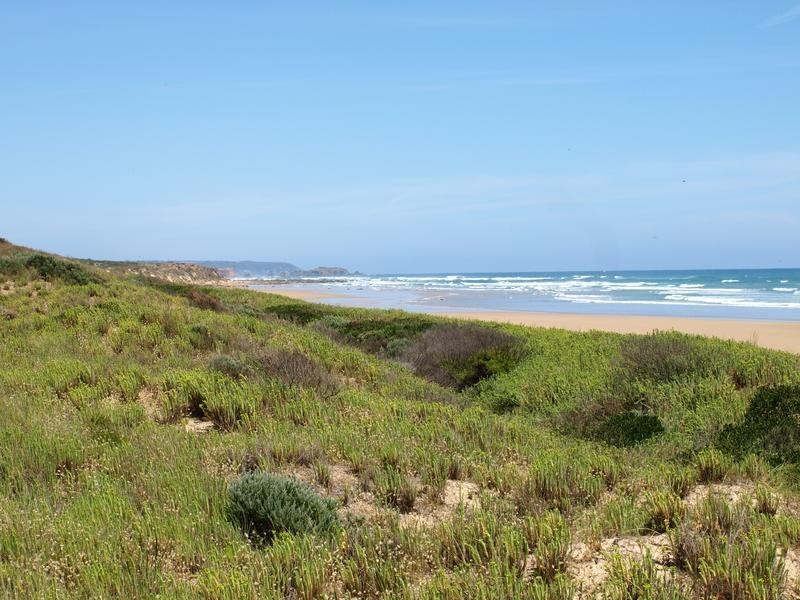 1160 Walkerville Road, Tarwin Lower VIC 3956