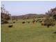 1100 WALKERVILLE ROAD, Tarwin Lower VIC 3956