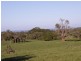 1100 WALKERVILLE ROAD, Tarwin Lower VIC 3956