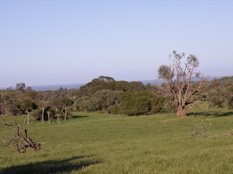 1100 WALKERVILLE ROAD, Tarwin Lower VIC 3956