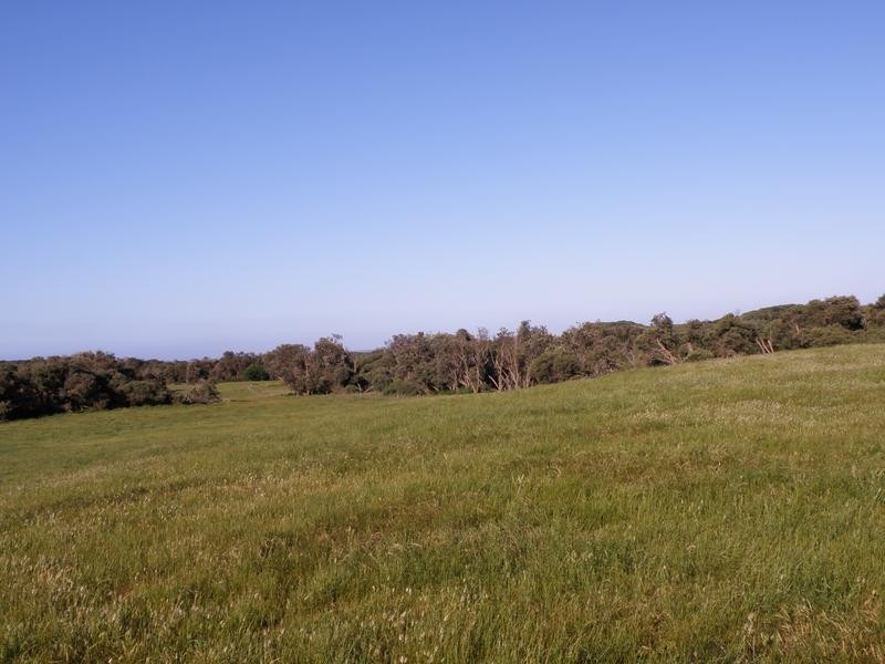 1100 WALKERVILLE ROAD, Tarwin Lower VIC 3956