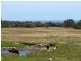 1100 WALKERVILLE ROAD, Tarwin Lower VIC 3956