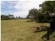 15 ARNOTT STREET, Tarwin Lower VIC 3956