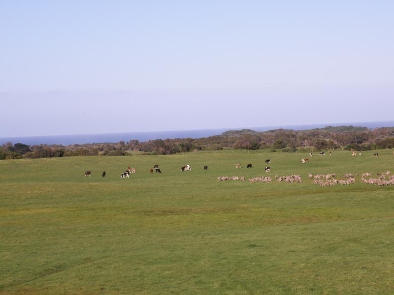 1160 WALKERVILLE ROAD, Tarwin Lower VIC 3956