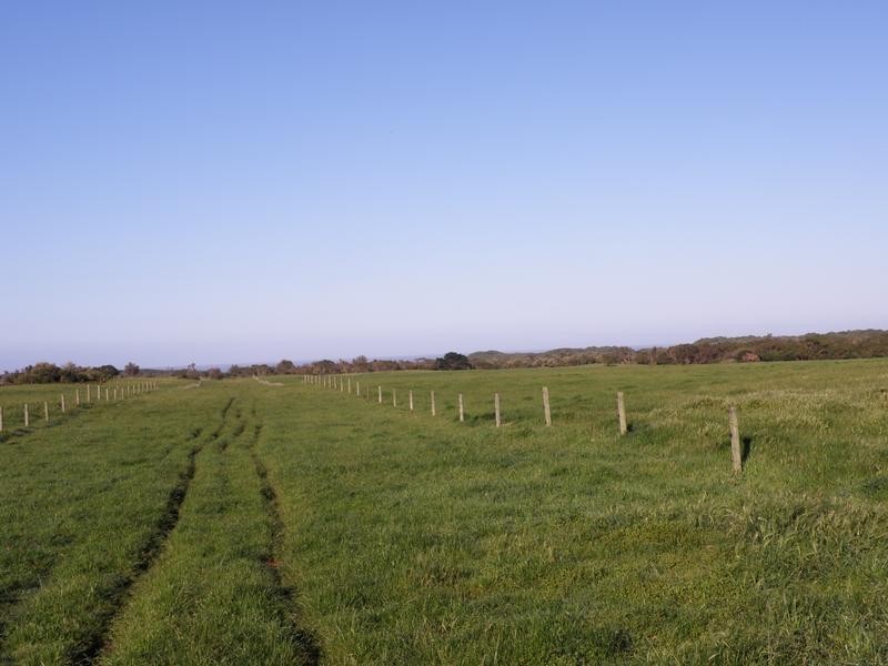 1160 WALKERVILLE ROAD, Tarwin Lower VIC 3956