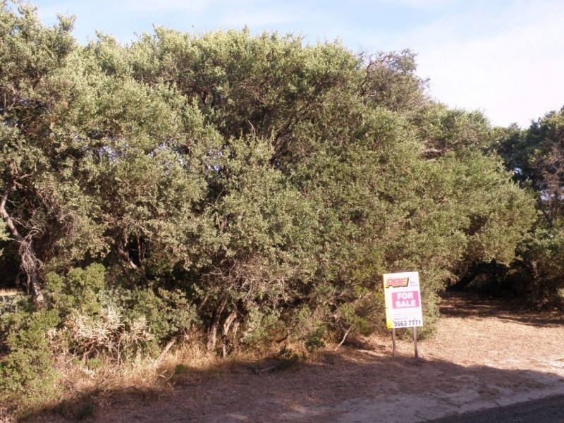 109 ATHERTON DRIVE, Venus Bay VIC 3956