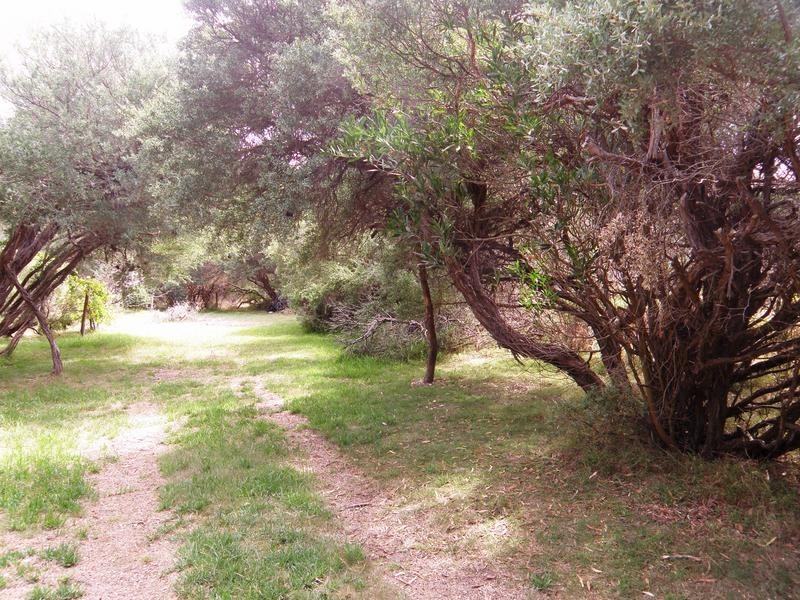 121 ATHERTON DRIVE, Venus Bay VIC 3956