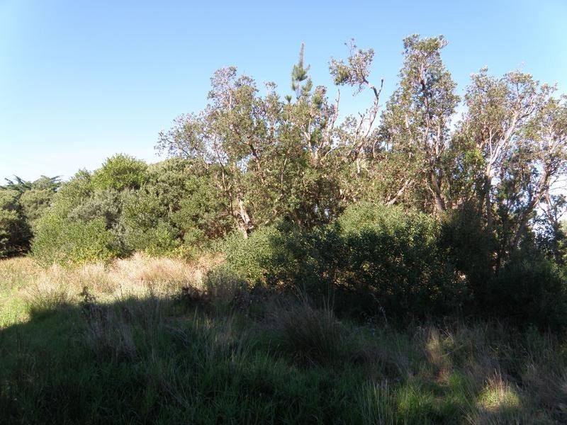 6 JUNO ROAD, Venus Bay VIC 3956