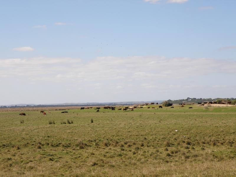 6 ANITA CRESCENT, Venus Bay VIC 3956