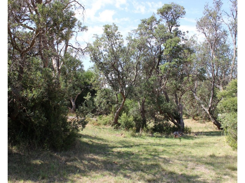 2 DOROTHY AVENUE, Venus Bay VIC 3956