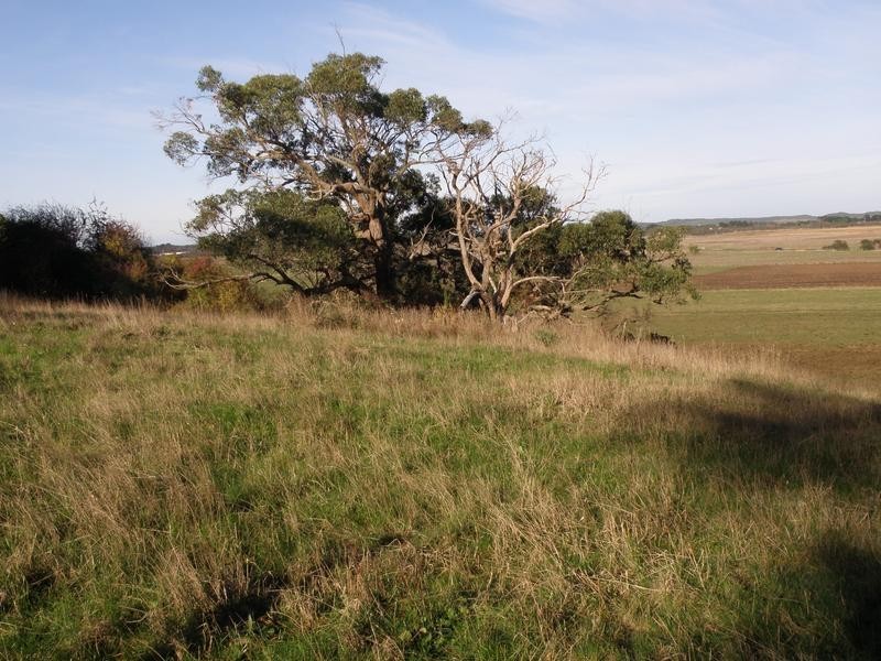 1621 TARWIN LOWER ROAD, Tarwin Lower VIC 3956