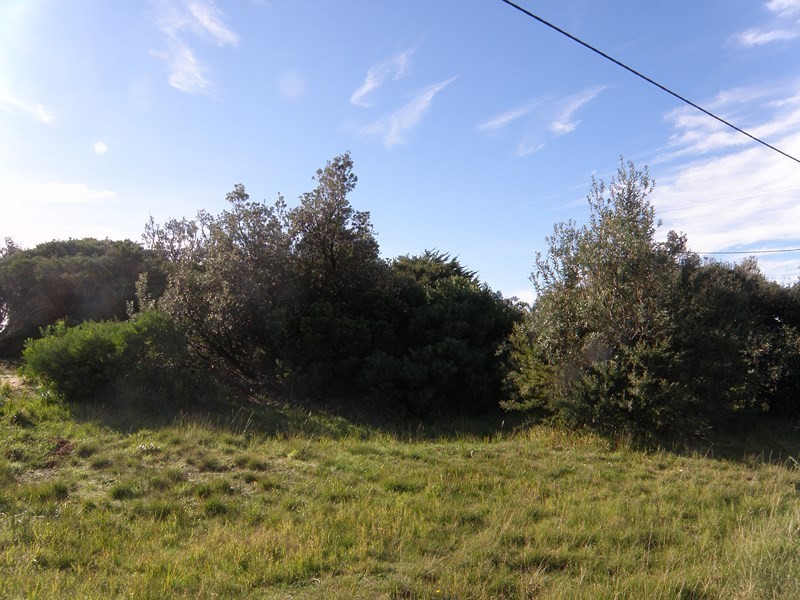 31 PANDORA AVENUE, Venus Bay VIC 3956