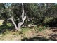 28 WEBSTER AVENUE, Venus Bay VIC 3956