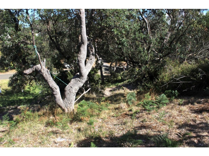 28 WEBSTER AVENUE, Venus Bay VIC 3956