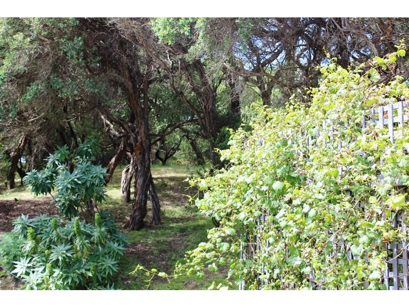 74 INLET VIEW ROAD, Venus Bay VIC 3956