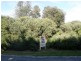 99 JUPITER BOULEVARD, Venus Bay VIC 3956