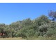 6 JUNO ROAD, Venus Bay VIC 3956