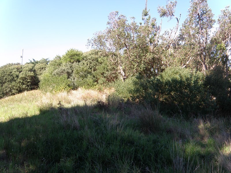 6 JUNO ROAD, Venus Bay VIC 3956