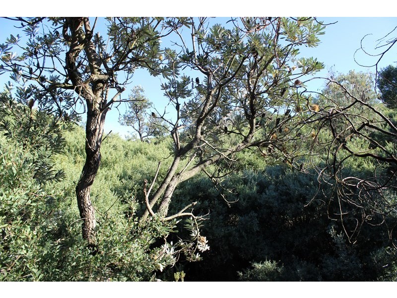 93 ATHERTON DRIVE, Venus Bay VIC 3956