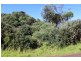 16 WEBSTER AVENUE, Venus Bay VIC 3956