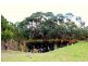 780 FISH CREEK-WALKERVILLE ROAD, Walkerville VIC 3956