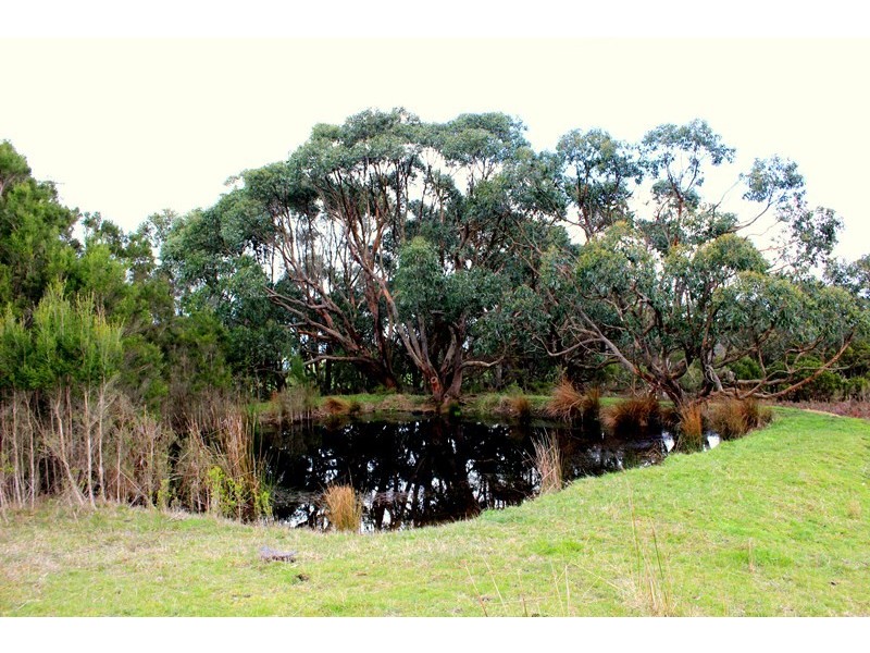 780 FISH CREEK-WALKERVILLE ROAD, Walkerville VIC 3956