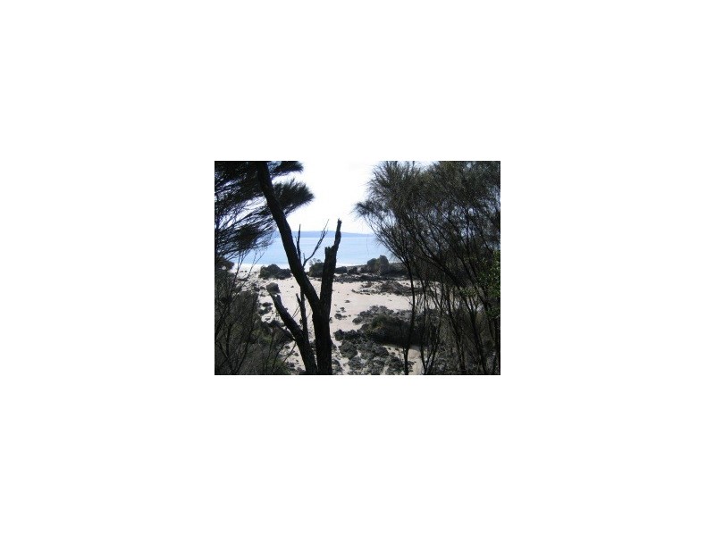 11 SEAVIEW DRIVE, Walkerville VIC 3956