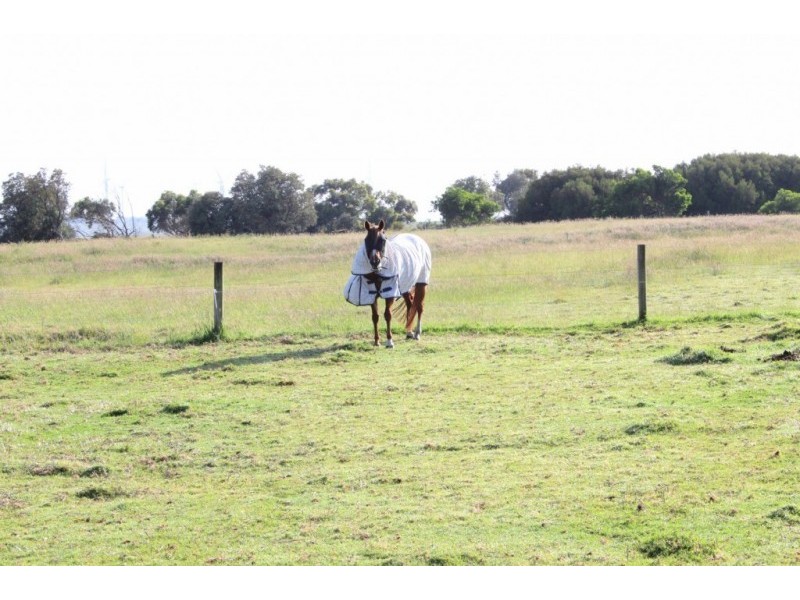 1150 WALKERVILLE ROAD, Tarwin Lower VIC 3956