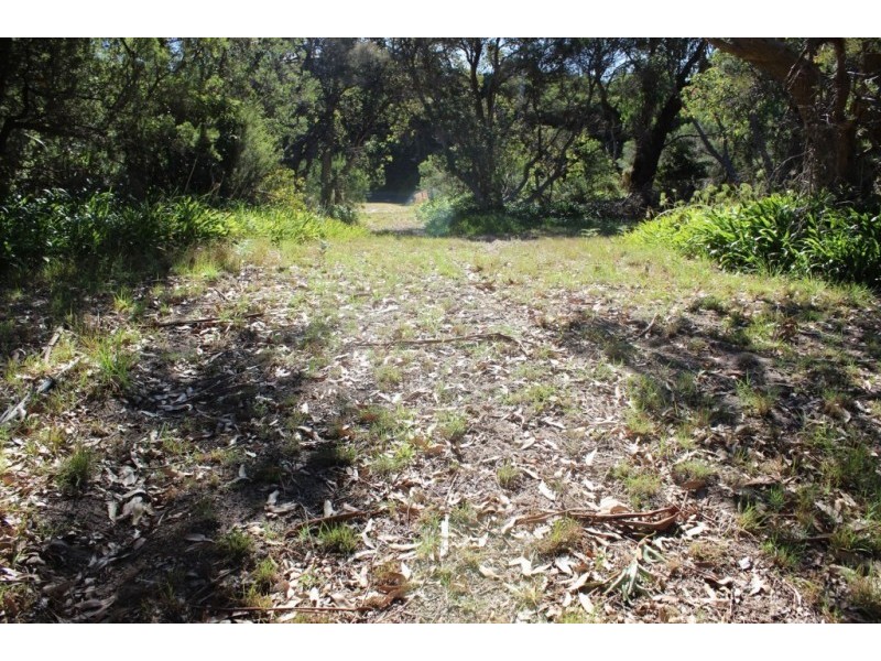 14 FISHERMANS ROAD, Venus Bay VIC 3956