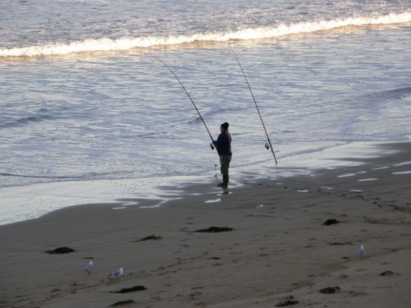 50. MCINDOE AVENUE, Venus Bay VIC 3956