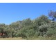 6. JUNO ROAD, Venus Bay VIC 3956