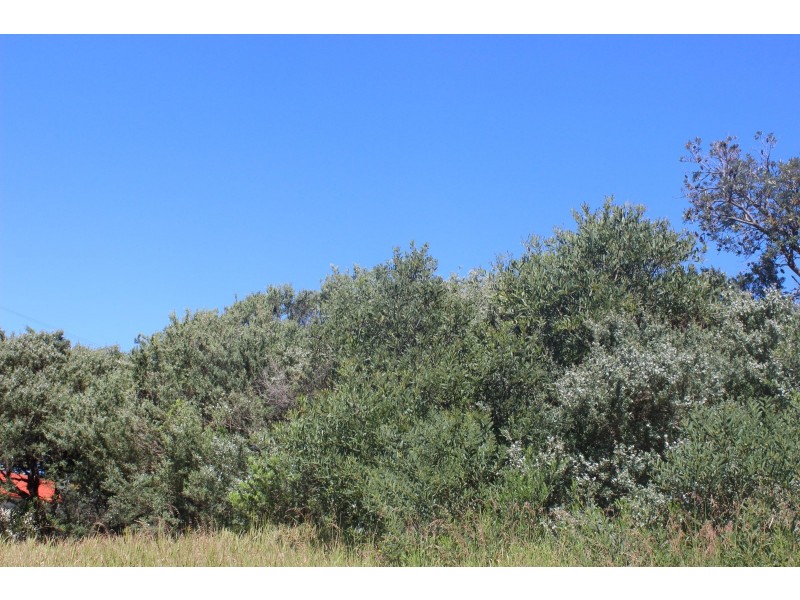 6. JUNO ROAD, Venus Bay VIC 3956