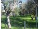 14 CANTOR DRIVE, Venus Bay VIC 3956