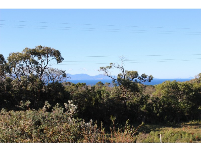 65 ACACIA ROAD, Walkerville VIC 3956