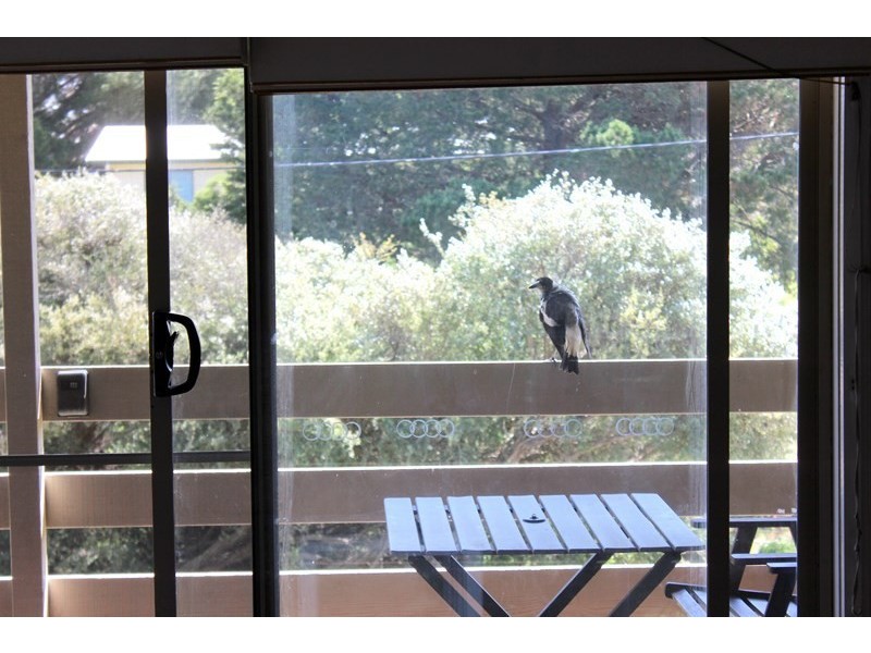 8 WOORAK AVE, Venus Bay VIC 3956