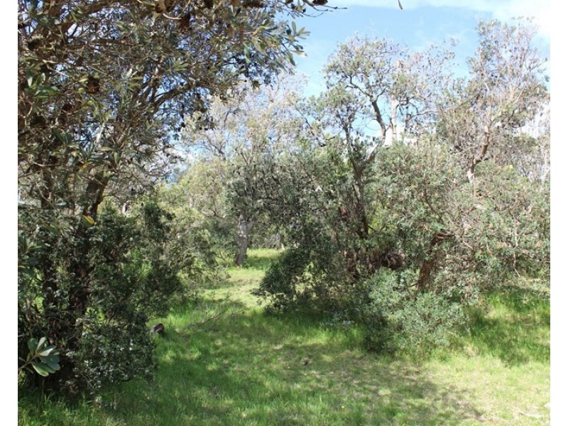 4 FISHERMANS ROAD, Venus Bay VIC 3956