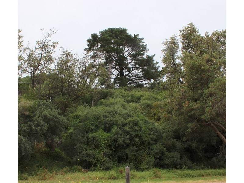 166 JUPITER BOULEVARD, Venus Bay VIC 3956