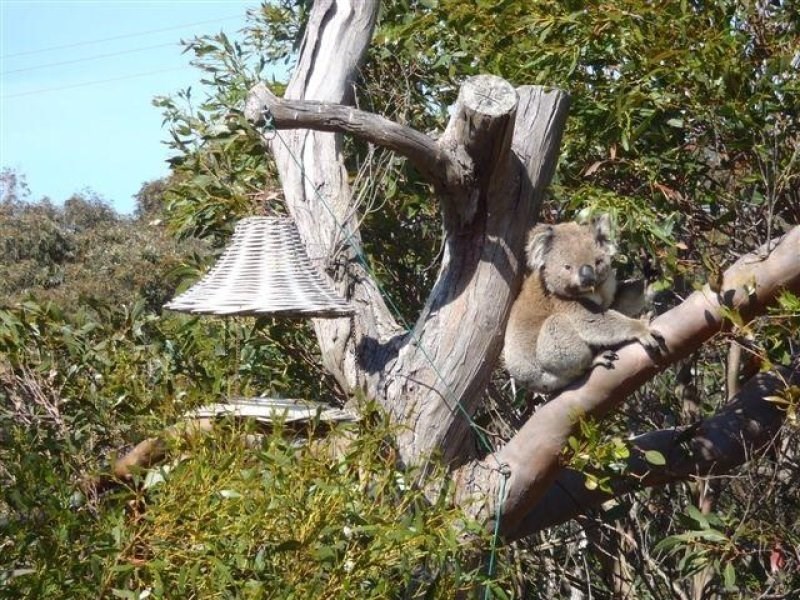 109., ACACIA ROAD, Venus Bay VIC 3956