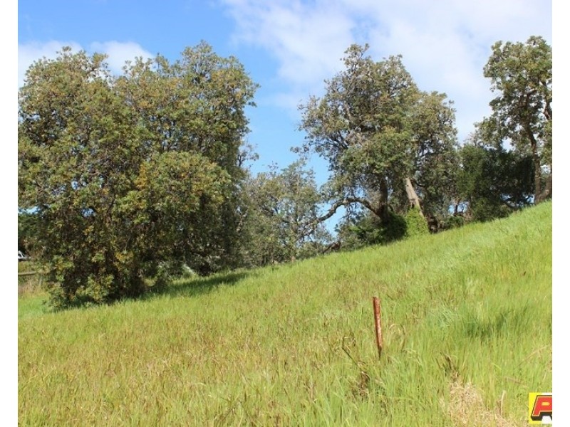 191. LEES ROAD, Venus Bay VIC 3956