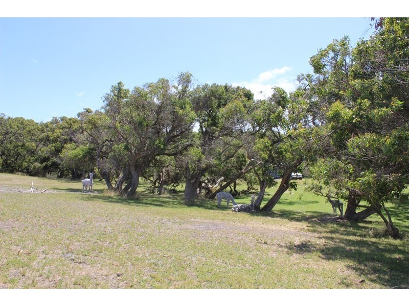 323 CAPE LIPTRAP ROAD, Tarwin Lower VIC 3956